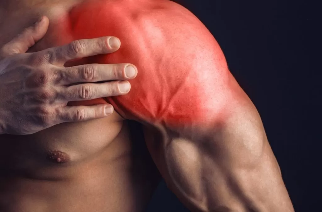 Omuz Kas Yırtığı