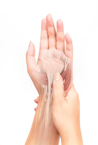 El tendon yaralanması